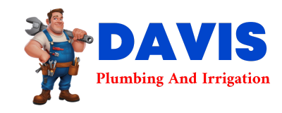 Trusted plumber in STATELINE